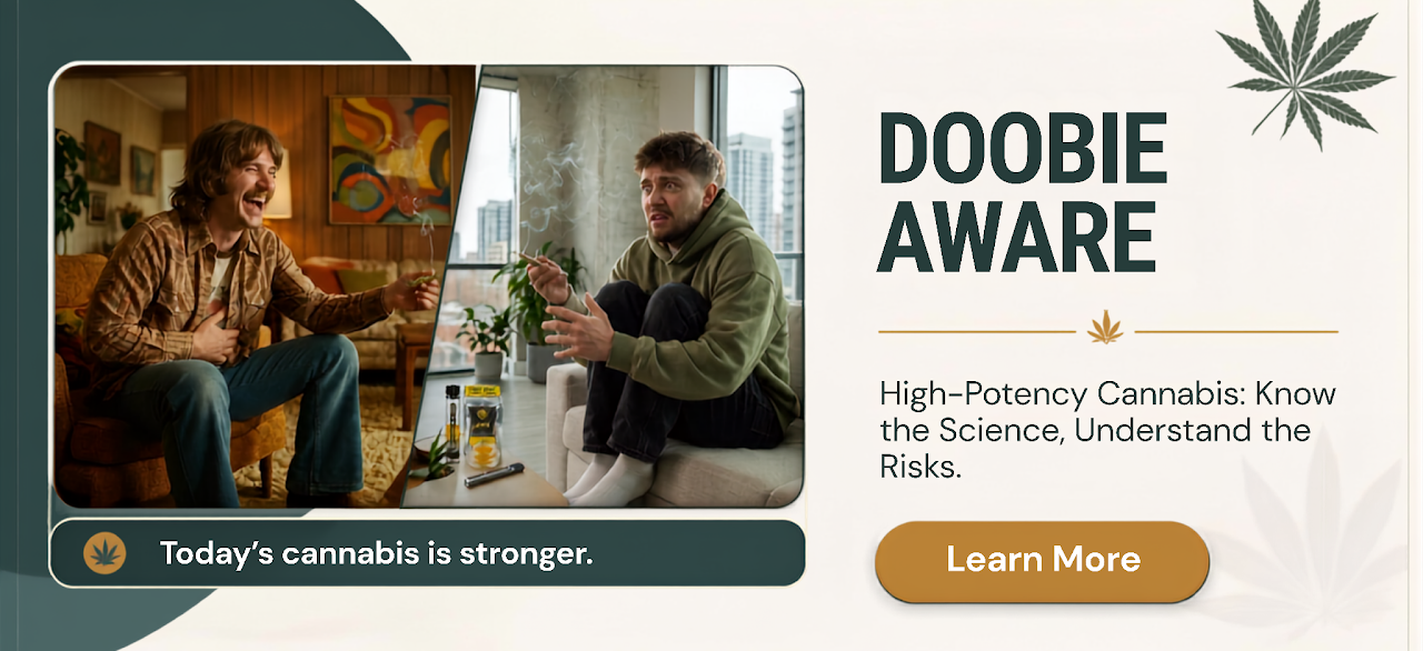 1970s pot smoker laughing and relaxed hands the joint over to paranoid modern-day smoker who is paranoid, cuddled up on his couch symbolizing how the negative effects of high-potency THC.